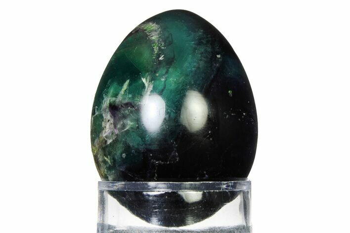 Colorful Polished Fluorite Egg - Fluorescent! #322459